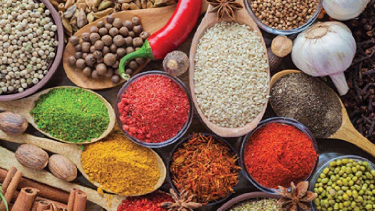 Seasoning Flavours for Snacks and Savoury Products in Pakistan